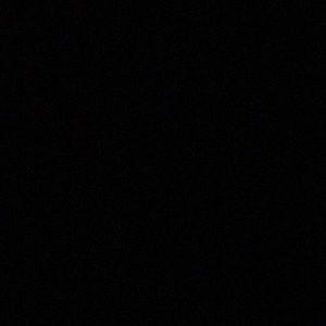 Meet your Posher, Halie